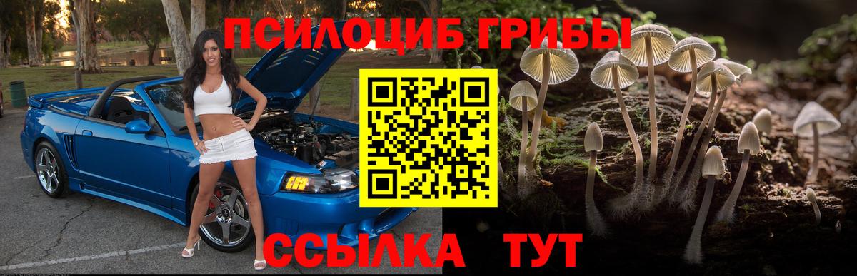 Галлюциногенные грибы Cubensis Томск